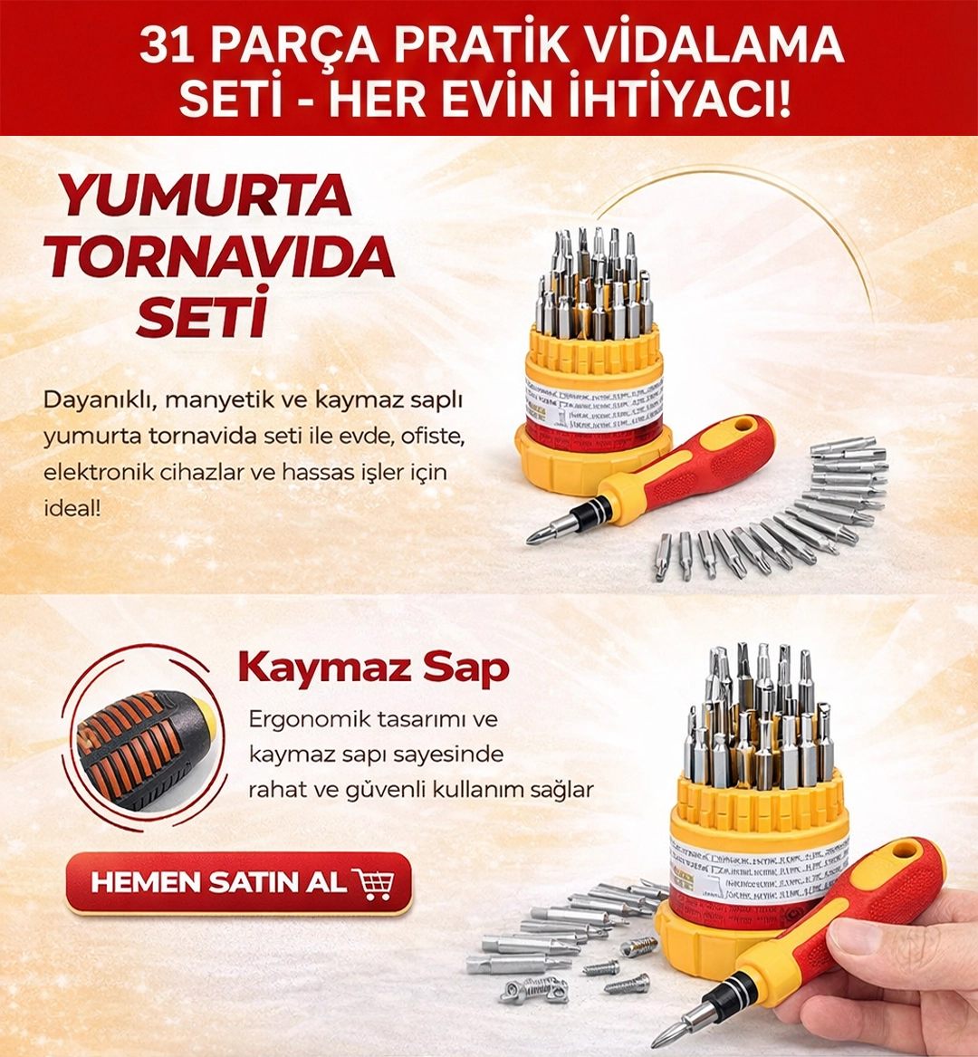31 Parça Tornavida Seti